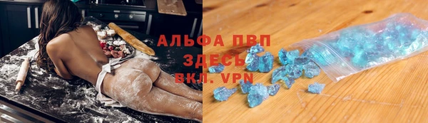 эйфоретик Богданович