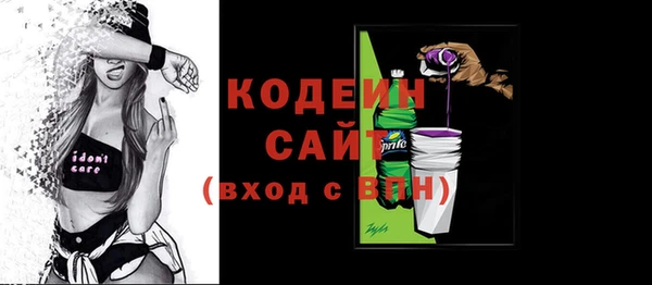стаф Бородино