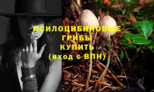 гашик Богородицк