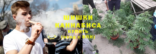 стафф Богородск