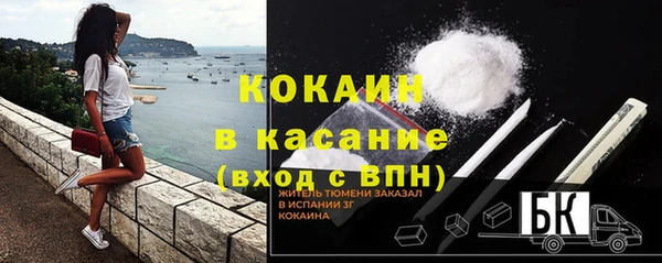 стафф Богородск