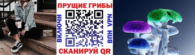Купить  Навашино  Галлюциногенные грибы GOLDEN TEACHER 