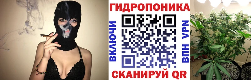 Купить где Навашино Бошки марихуана план